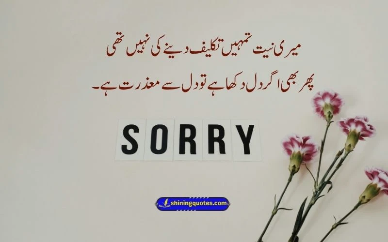 Sorry Quotes Urdu