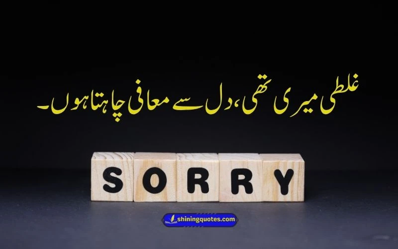 Sorry Urdu Quotes