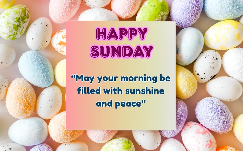 Happy Sunday Quotes