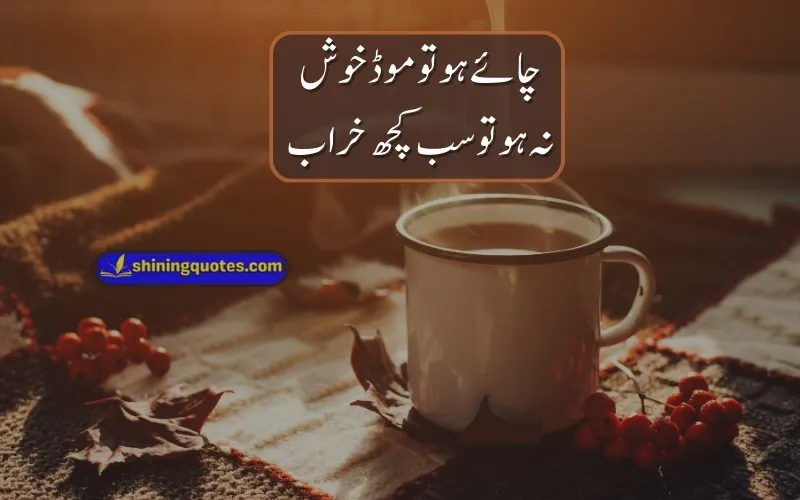 Chai Poetry in Urdu
