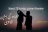 Best Urdu Poetry To Express Your Heart Feelings - Post Thumbnail