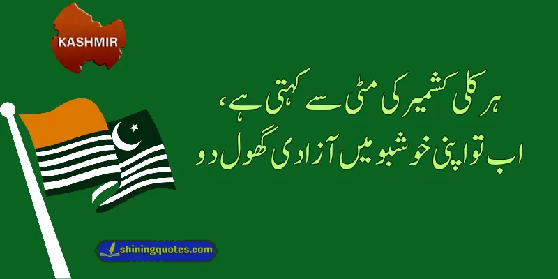 Kashmir Day Quotes