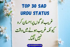 Top Sad Status in Urdu for Love, Life, and Heartbreak - Post Thumbnail