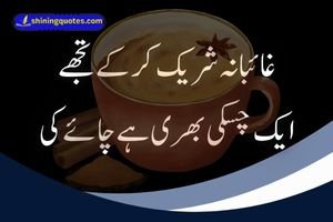 Best 2 Line Urdu Poetry for Love and Life – Copy Paste Easy - Post Thumbnail