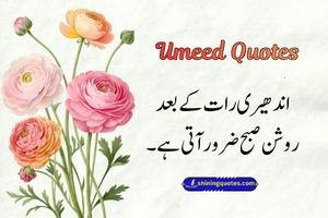 Umeed Quotes in Urdu | Heart-Touching Hope Quotes