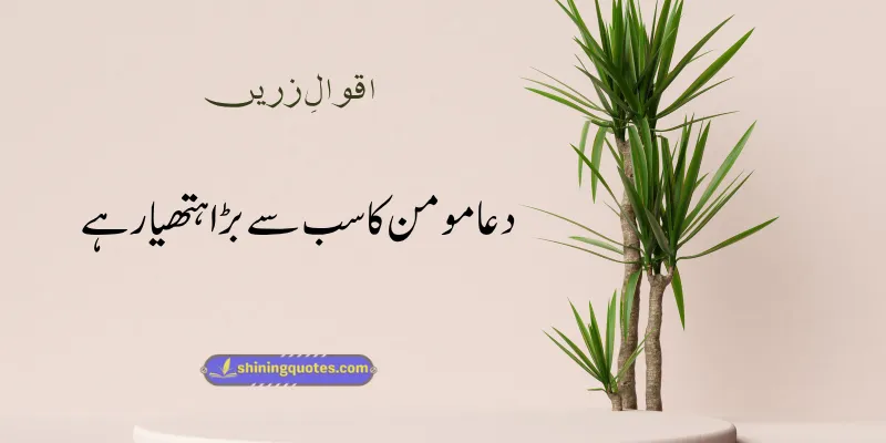 Aqwal e Zareen in Urdu