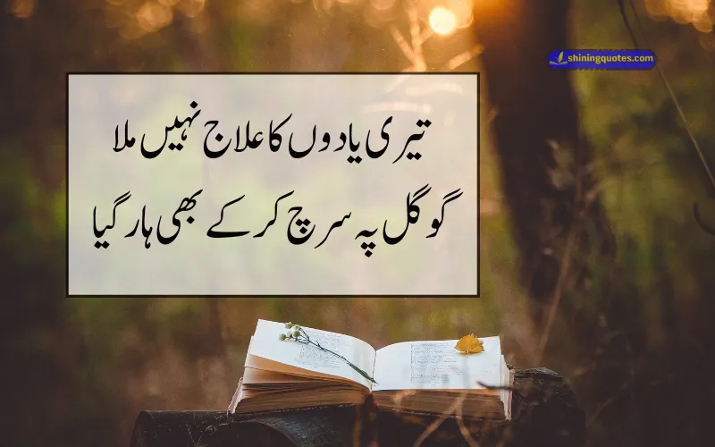 Funny Poetry in Urdu 2 Lines