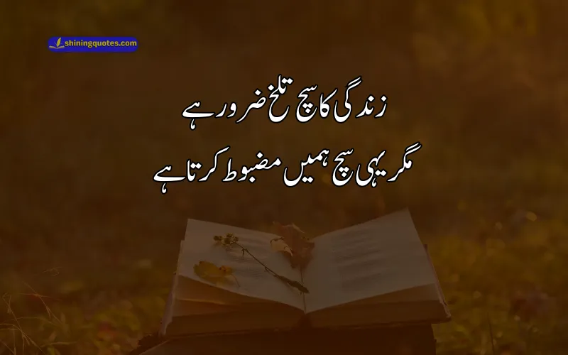 Poetry About Life in Urdu