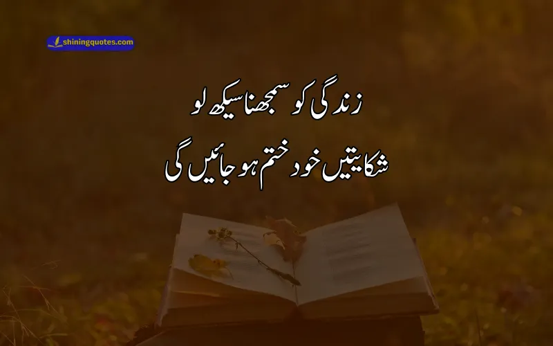 Poetry About Life in Urdu